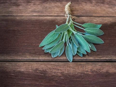 Sage branches on rustic wooden table Salvia officinalis.. Stock Photos