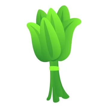 Sage bunch icon cartoon vector. Leaf plant Stock Illustration