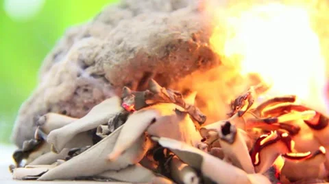 Sage Burning Close-up Small Bright Yellow Fire Stock Footage 12411285