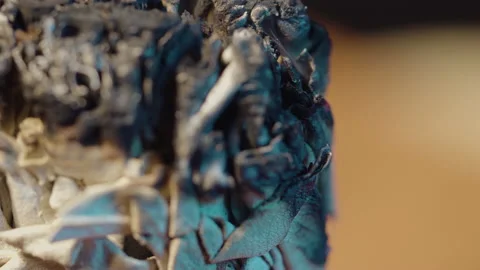 Sage burning  Stock Footage 145940407