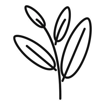 Sage cedar icon outline vector. Mint tea Stock Illustration