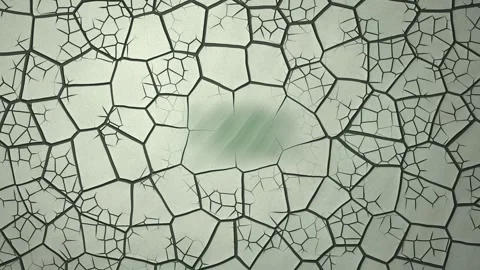 Sage Clay Face Mask Drying and Cracking Macro Texture Animation Vidéo 348485325