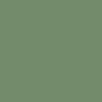 Sage color background ready for print design or post design - square background Stock Illustration