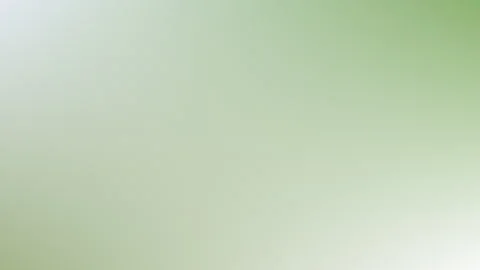 Sage Eucalyptus and Sand Organic Loop Background 4K Stock Footage 343863193