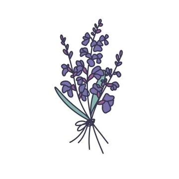 Sage flower doodle icon, vector color illustration Stock Illustration