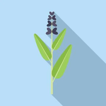 Sage flower icon flat vector. Herb plant Stock Illustration