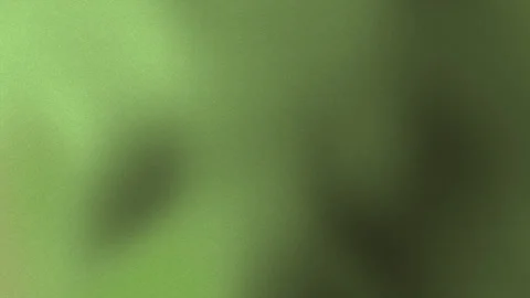 Sage green background creates an abstract green backdrop. Stock Footage 318430631
