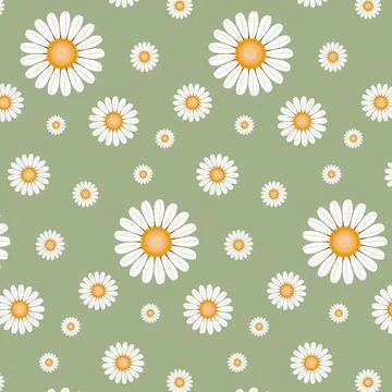 Sage Green Daisy Seamless Pattern Minimal Floral Repeat Background Illustrazione stock