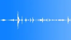 Сage, grid Sound Effect