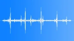 Sage Grouse Single Male Sound Effect