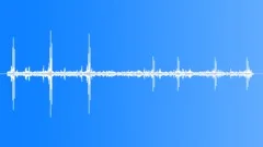 Sage Grouse Single Male Sound Effect
