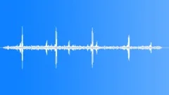 Sage Grouse Single MaleSound Effect
