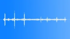 Sage Grouse Single Male Sound Effect