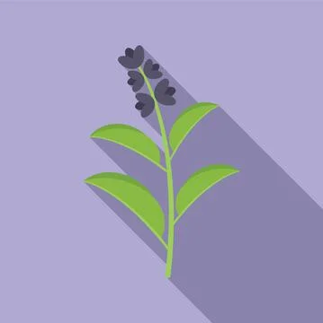 Sage herb icon flat vector. Smudge mint Stock Illustration