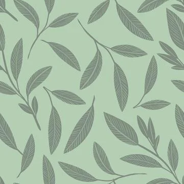 Sage herb vector repeat pattern design Stock Illustration