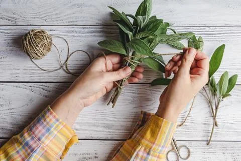 Sage leaf bundle in hands, hemp string and scissors on old wooden table Stock-Fotos