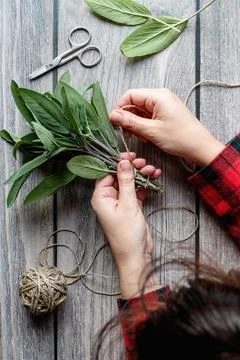 Sage leaf bundle in hands, prepare herbs to dry, hemp string wooden backgro.. Fotos Stock