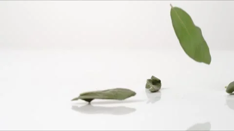 Sage Leaves Bouncing Slow Motion White Tabletop Closeup Macro Food Studio Stock Footage 335006448