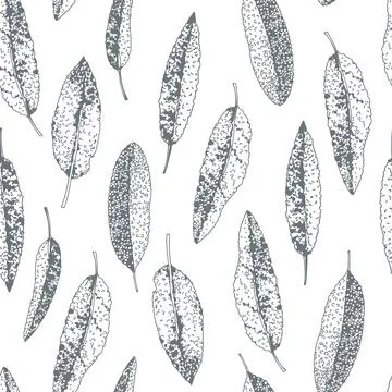 Sage leaves. Vector   pattern. Stock Illustration