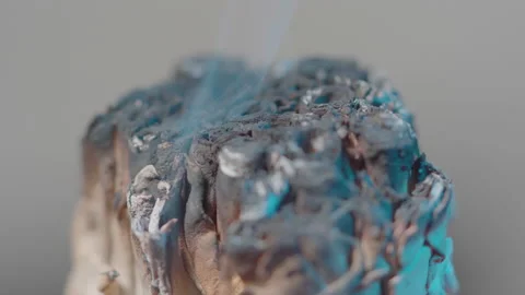 Sage macro with blue light  Stock Footage 145940510