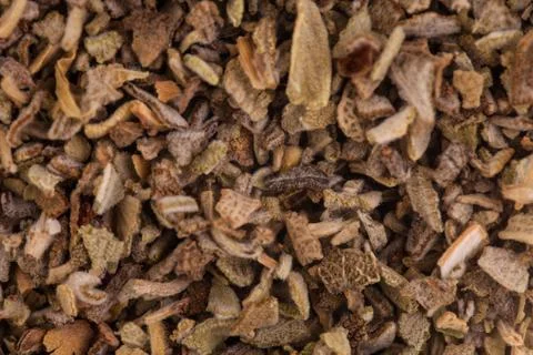 Sage macro closeup texture Foto stock