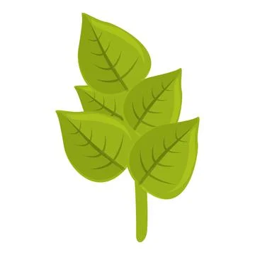Sage oregano icon cartoon vector. Leaf herb Stock Illustration