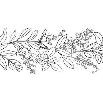 Sage Outline Horizontal Seamless Pattern. 스톡 일러스트