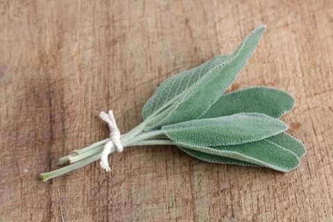 Sage Stock Photos