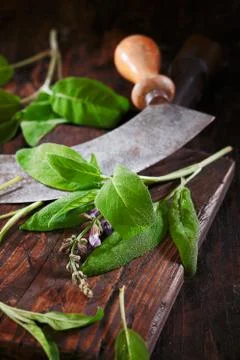 Sage on a rustic wooden table Stock Photos