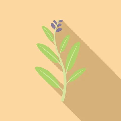 Sage salvia icon flat vector. Leaf herb Stock Illustration