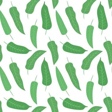 Sage seamless pattern. Flat vector illustration isolated on white background. Stock Illustration