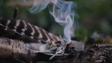 Sage Smoke in Slow Motion Stock Footage 146657972