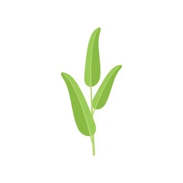 Sage smudge icon flat vector. Herb stick Stock Illustration