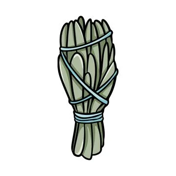 Sage smudge stick with threads hand-drawn doodle isolated icon. Vector stock Stock Illustration