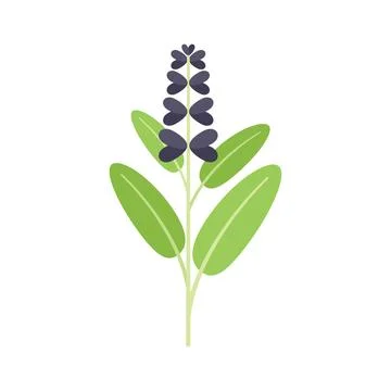 Sage stick icon flat vector. Herb plant Illustrazione stock