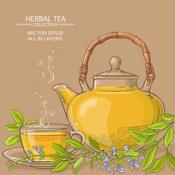 Sage tea illustration Stock Illustration