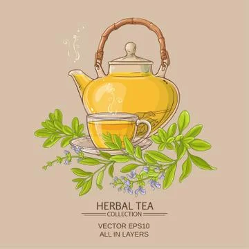 Sage tea illustration Stock Illustration