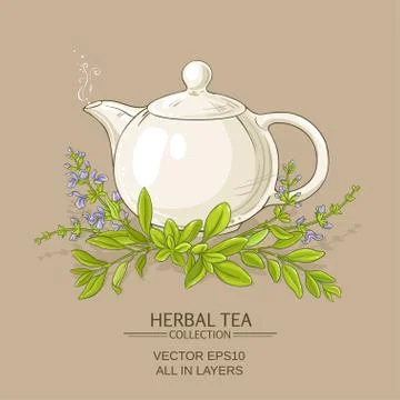 Sage tea illustration Stock Illustration