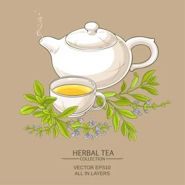 Sage tea illustration Stock Illustration