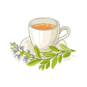 Sage tea illustration Stock Illustration