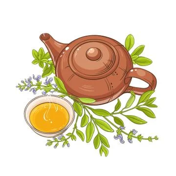 Sage tea vector illustration Stock Illustration