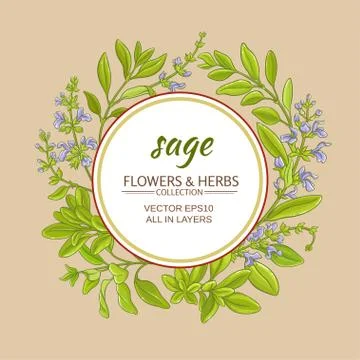 Sage vector frame Stock Illustration