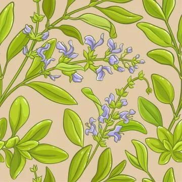 Sage vector pattern Illustrazione stock
