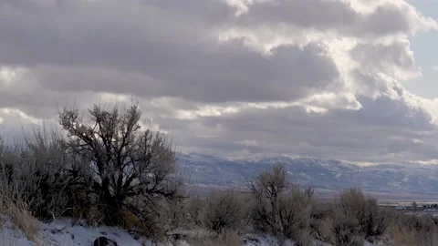 Sagebrush blowing in wind-Dark clouds over mountain Stock Footage 143162195