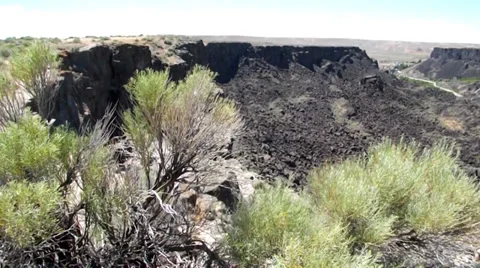 Sagebrush on a cliff Stock Footage 39948380