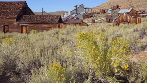 Sagebrush grows in the ghost town of Bodie, California. Stockbeeldmateriaal 75683424