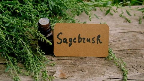 Sagebrush tincture and supplements. Selective focus. Stock Footage 314773475