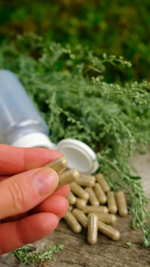 Sagebrush tincture and supplements. Selective focus. Stock Footage 314774605