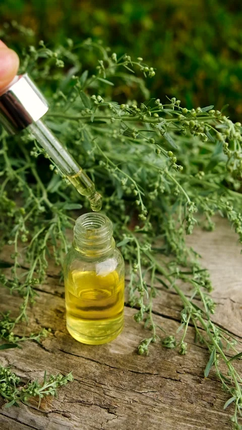Sagebrush tincture and supplements. Selective focus. Stock Footage 314774671