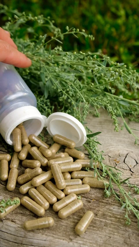 Sagebrush tincture and supplements. Selective focus. Stock Footage 315345808